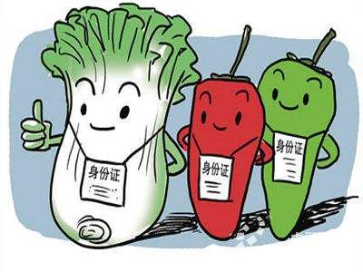 在線飛行激光打標機 在線飛行激光打標機